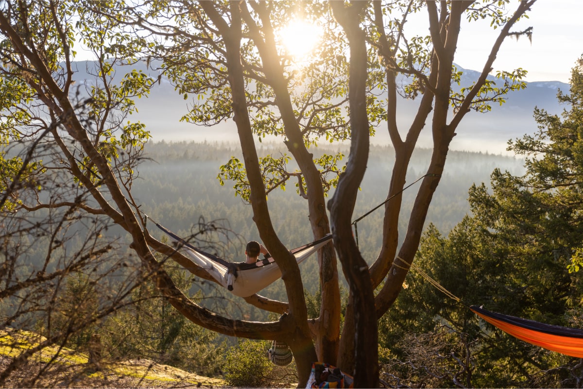 Person resting in a hammock strung between trees with sun rising over a forested valley.