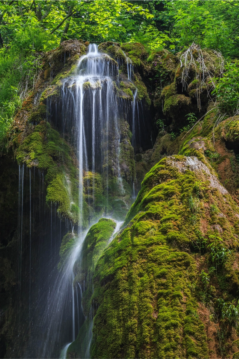 A peaceful cascade tucked within deep greenery and quiet rock walls.