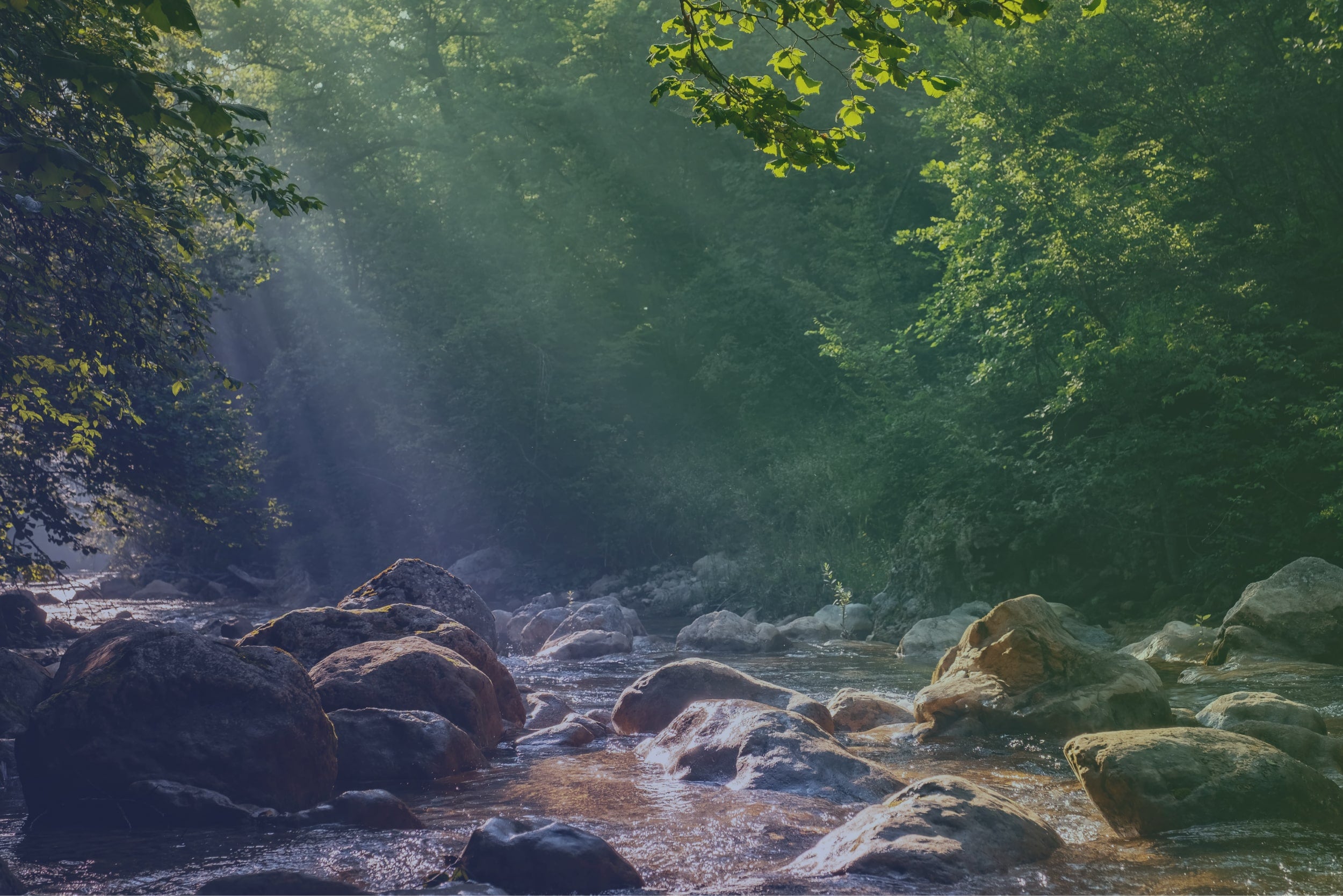 green naturescape