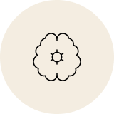 Alt Image