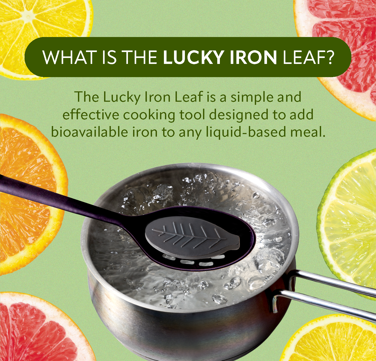 Lucky Iron Leaf