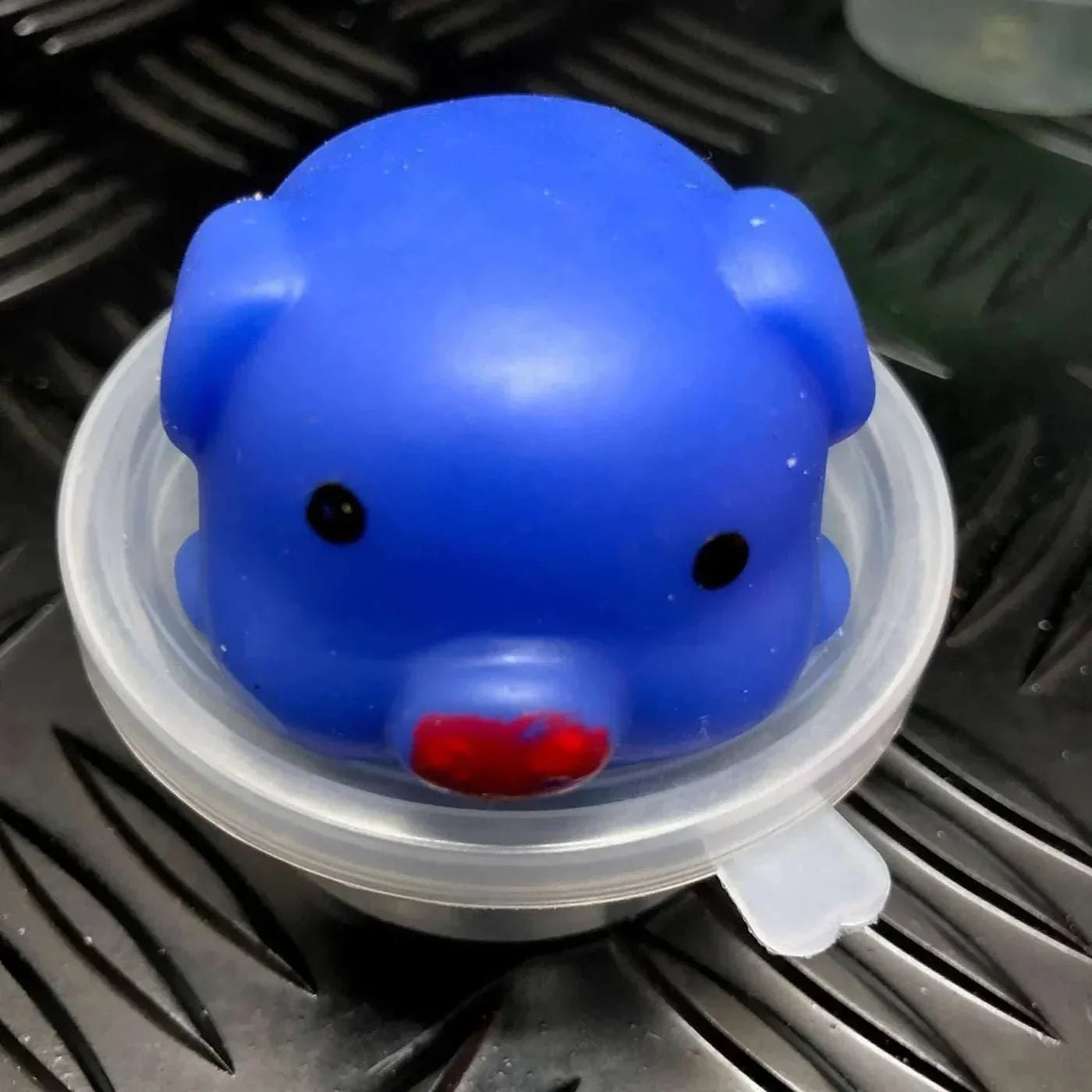 Blue Jelly Mochi Squishy Animal toy in small container on textured surface