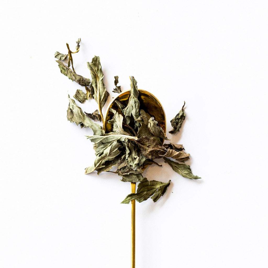 Large leaf loose peppermint tea