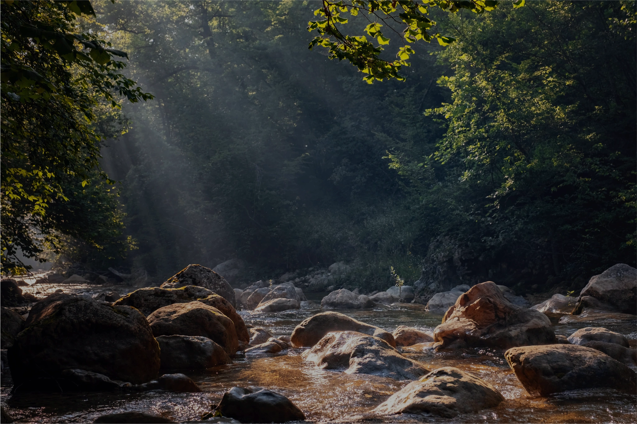 Calm forest scene with sunlight filtering through green trees and a stream of clear water over rocks